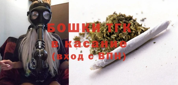 гидра Медногорск