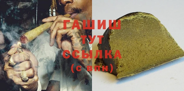 гидра Медногорск