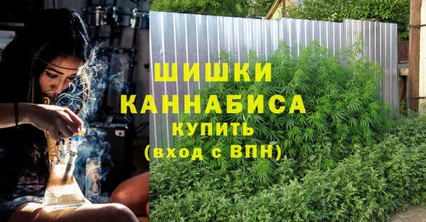 гидра Медногорск