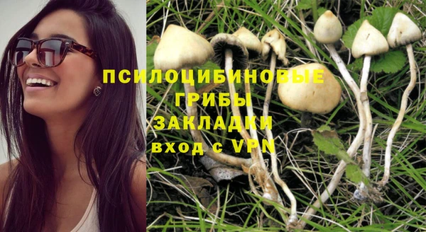 спиды Мегион