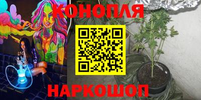 дмт Канаш