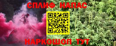 apvp Камышлов