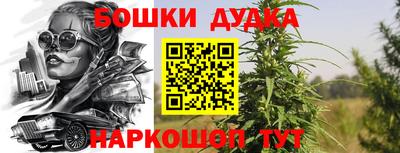 apvp Камышлов