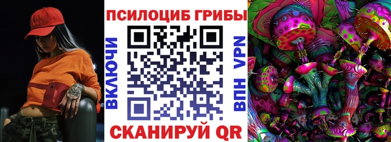 где можно купить наркотик  блэк спрут зеркало  Галлюциногенные грибы Magic Shrooms  Магадан 
