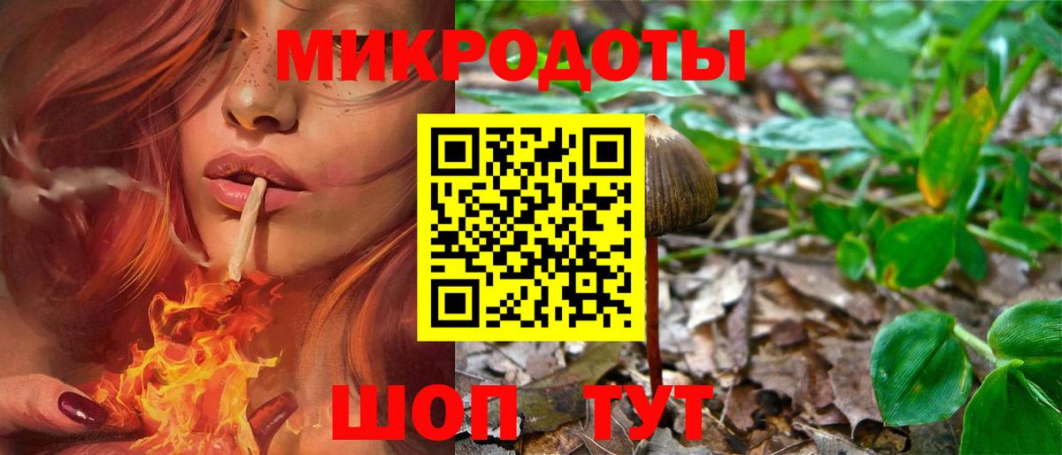 Галлюциногенные грибы Psilocybine cubensis Магадан