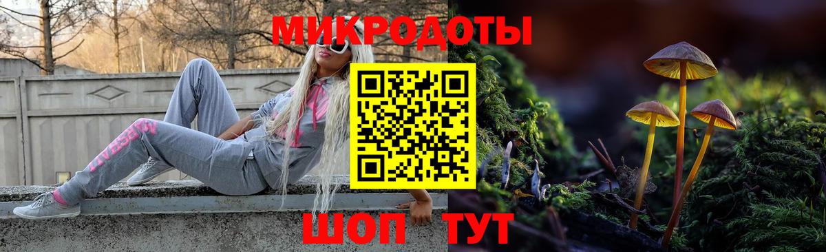 Магадан  наркота  Галлюциногенные грибы GOLDEN TEACHER  Вход с VPN  Галлюциногенные грибы Psilocybine cubensis 