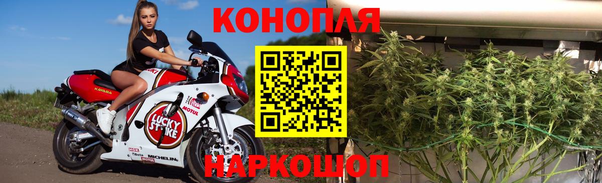 Конопля семена Магадан